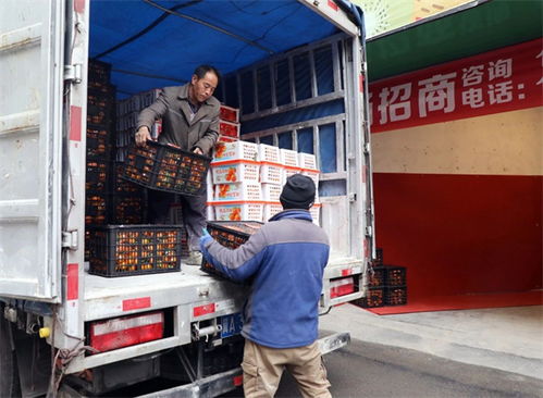 观山湖即将开业 水果与奶制品批发及进出口一站式交易中心